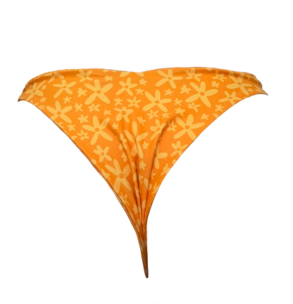Malibu Bottom